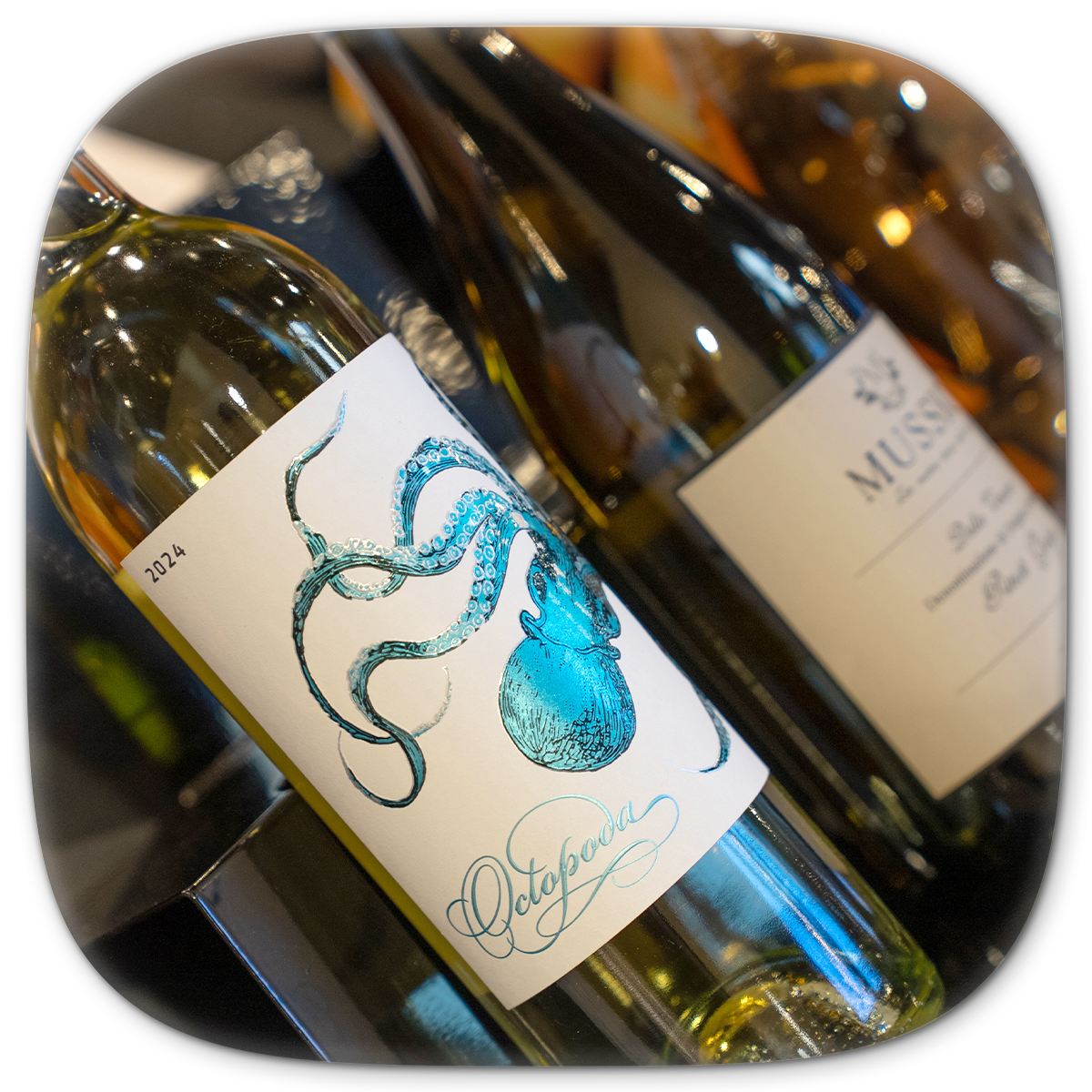 Bottles of wine, one with an octopus design label, others with white labels, in a store setting.
