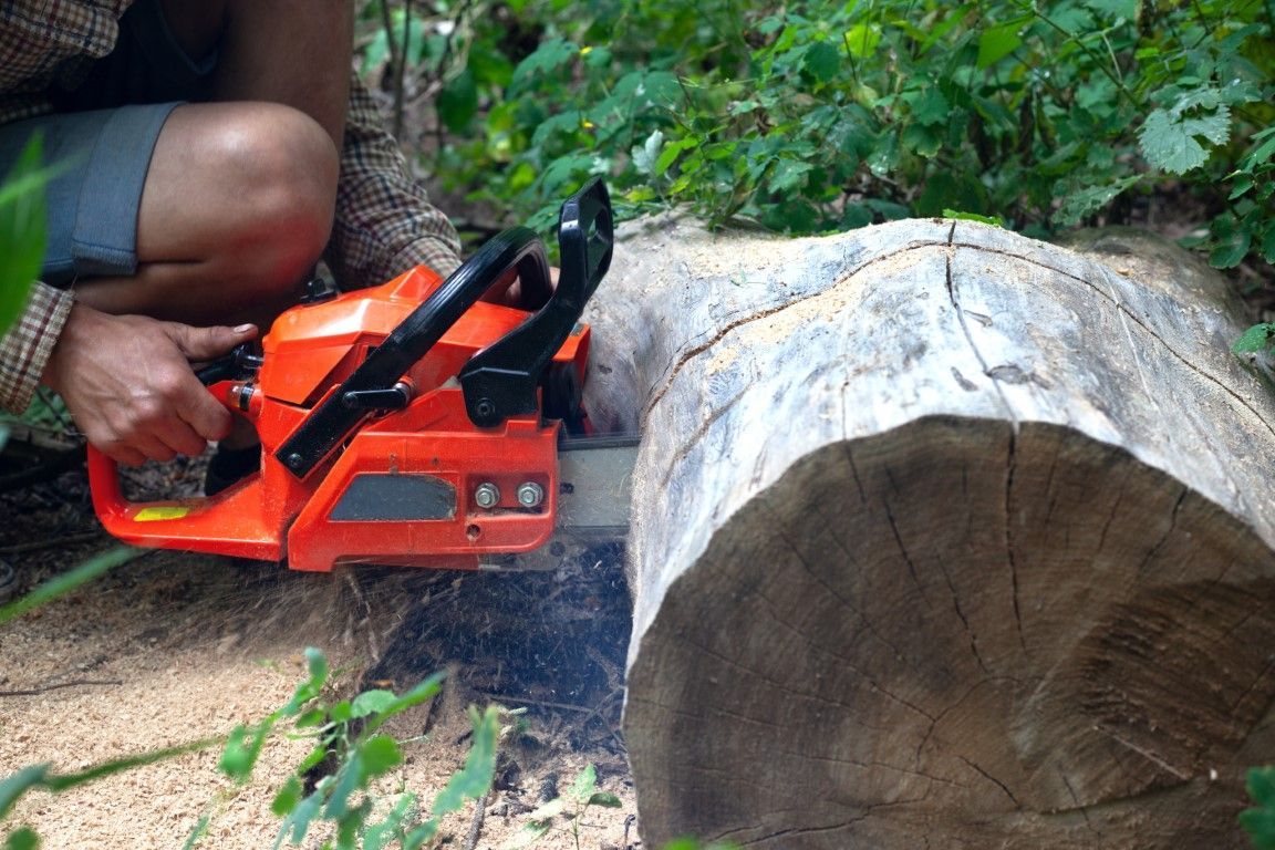 An image of Stump Grinding in Bloomfield, CT