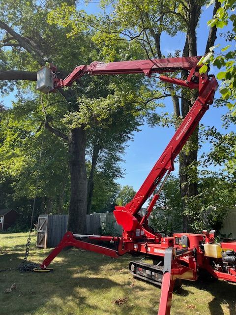 tree trimming