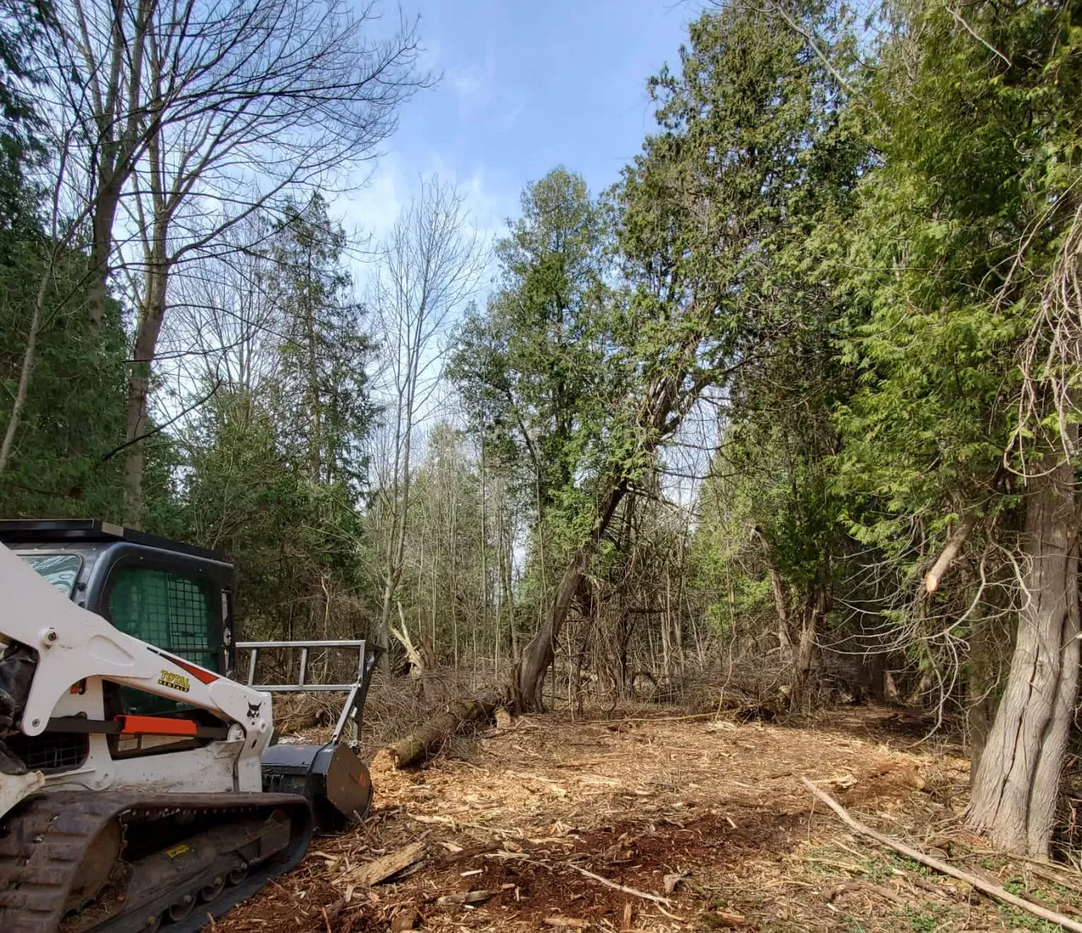 Understanding Lot Clearing: Essential Steps and Considerations
