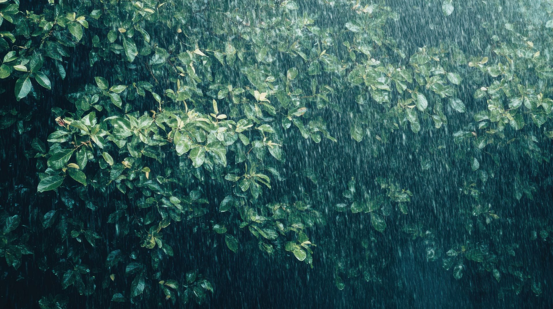 rainstorm