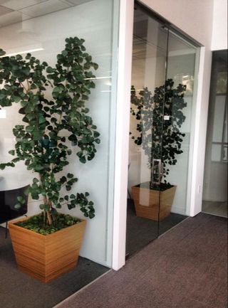 Contact Office Plant Service Newport Beach