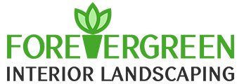 Office Plant Service Newport Beach