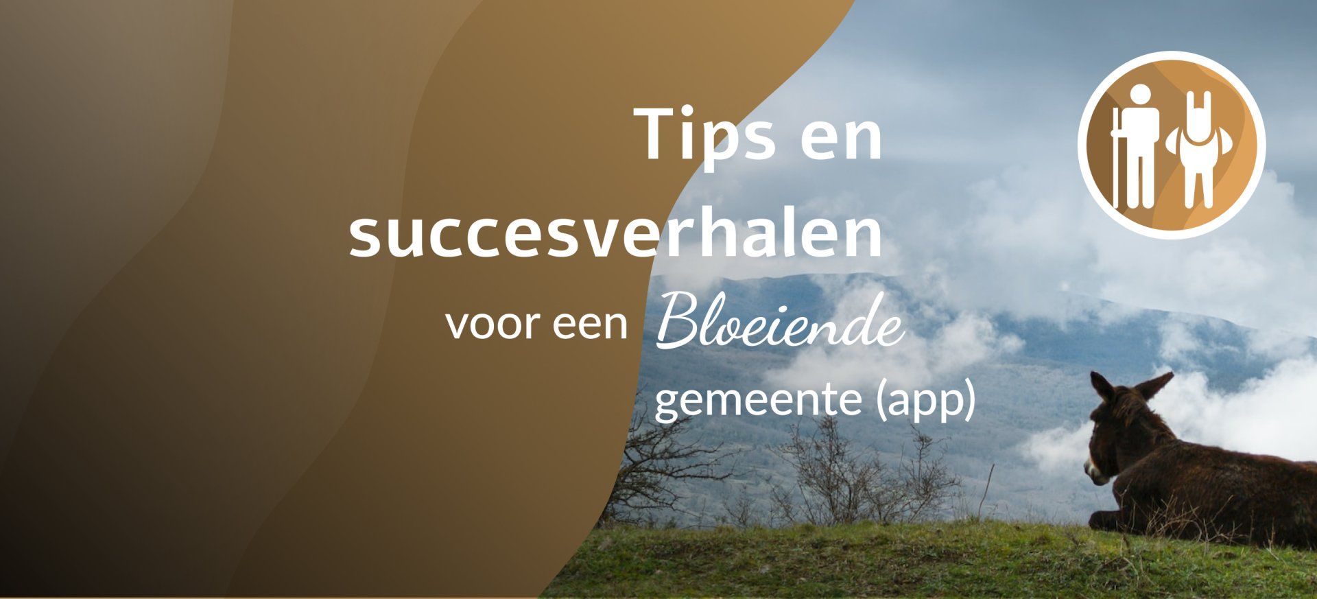 Donkey Delen tips en succesverhalen voor een bloeiende gemeente met een ezel op de achtergrond