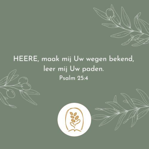Voorbeeld afbeelding Dagelijkse Broodkruimels