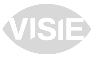 Een witte cirkel met het woord visie erop