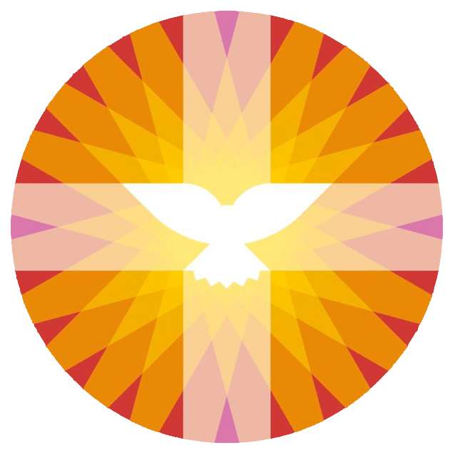 Logo Protestantse Kerk in Nederland zonder tekst