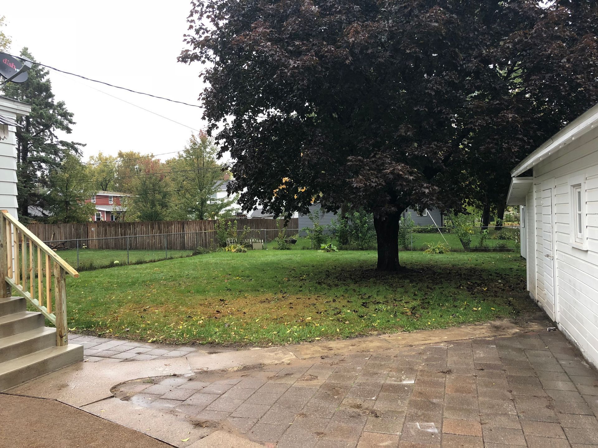 A backyard with a tree and a white building