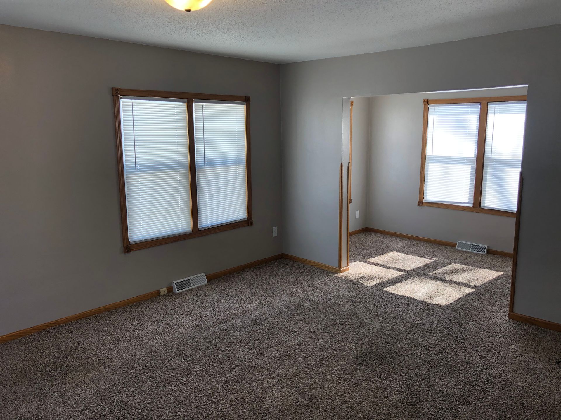 An empty living room with a carpeted floor and two windows.