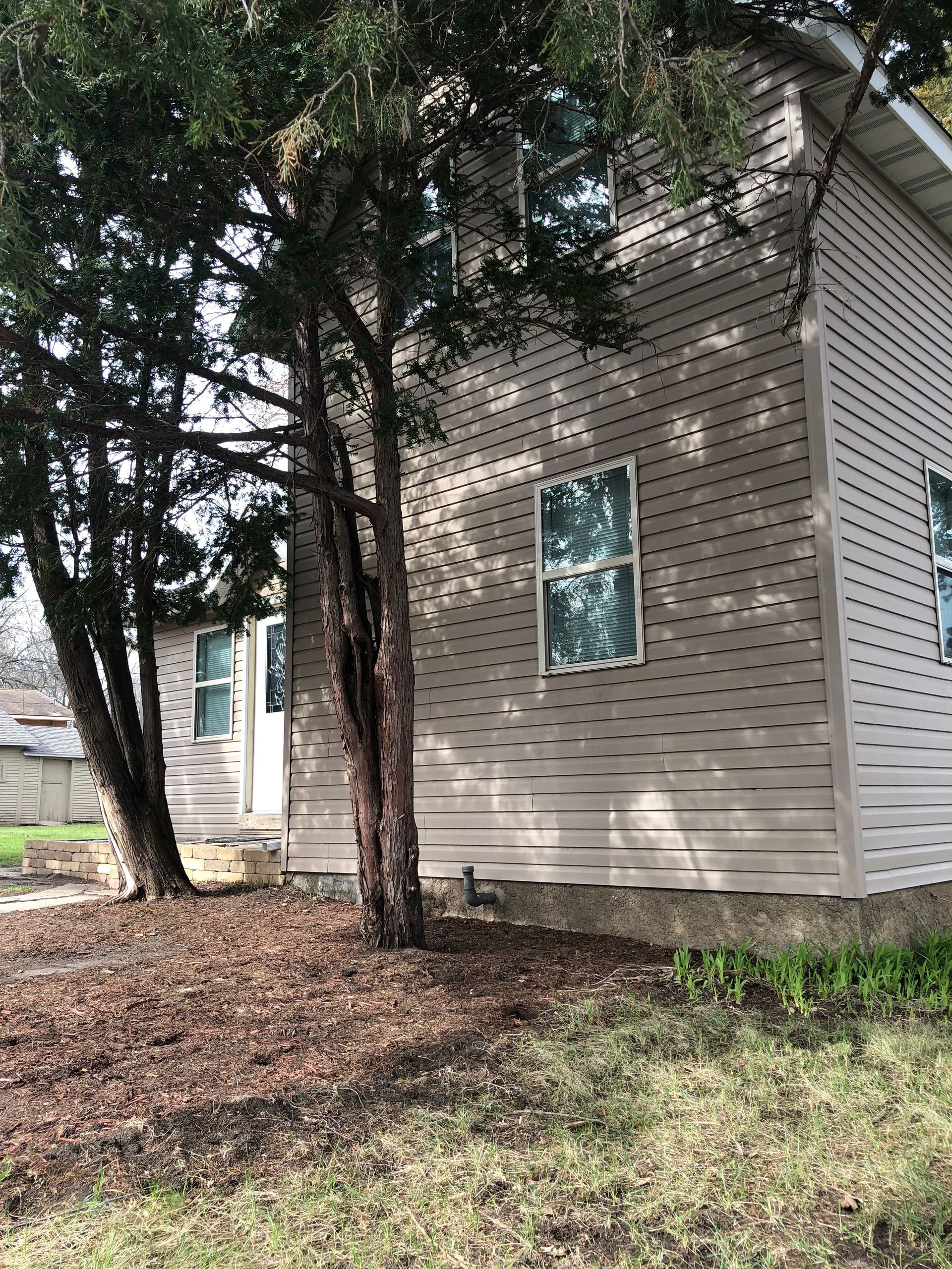 A house with a lot of windows and trees in front of it.