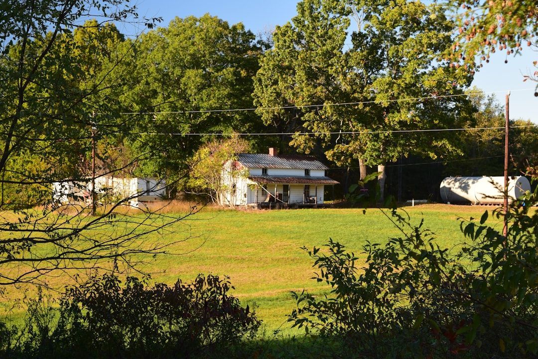 how to win a bidding war on a house