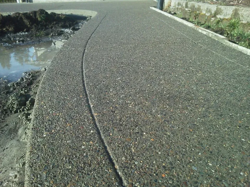Decorative aggregate concrete path with textured stone finish