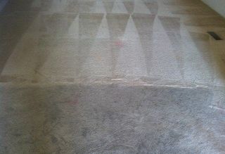 clean Carpet — Carpet Cleaning in Cañon City, CO - Canon Steam Way