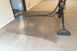 Man cleaning carpet — Upholstery Cleaning in Cañon City, CO - Canon Steam Way