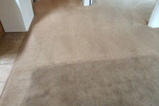 clean and dirty carpet side by side — Upholstery Cleaning in Cañon City, CO - Canon Steam Way