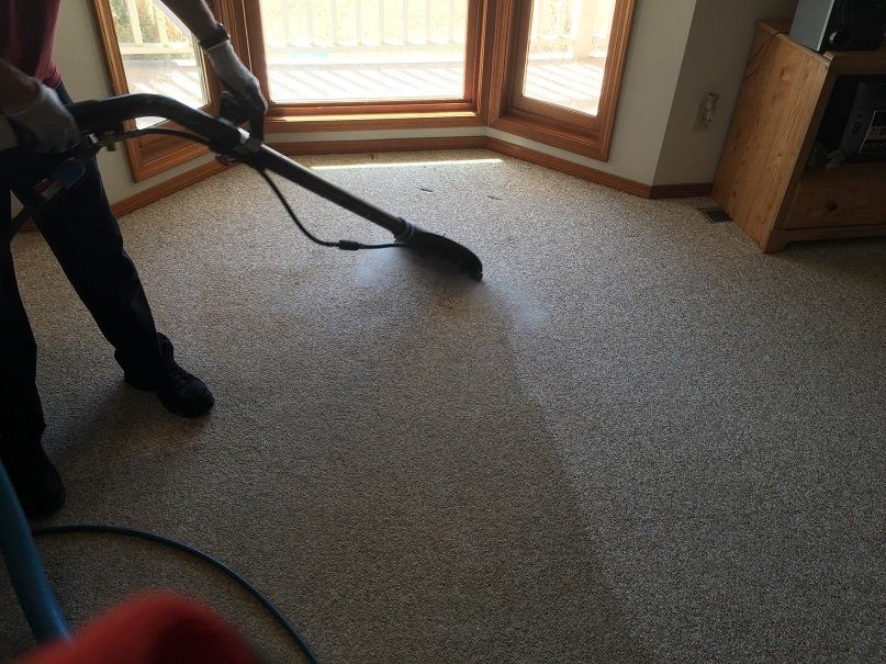 Carpet Cleaners in Canon City CO