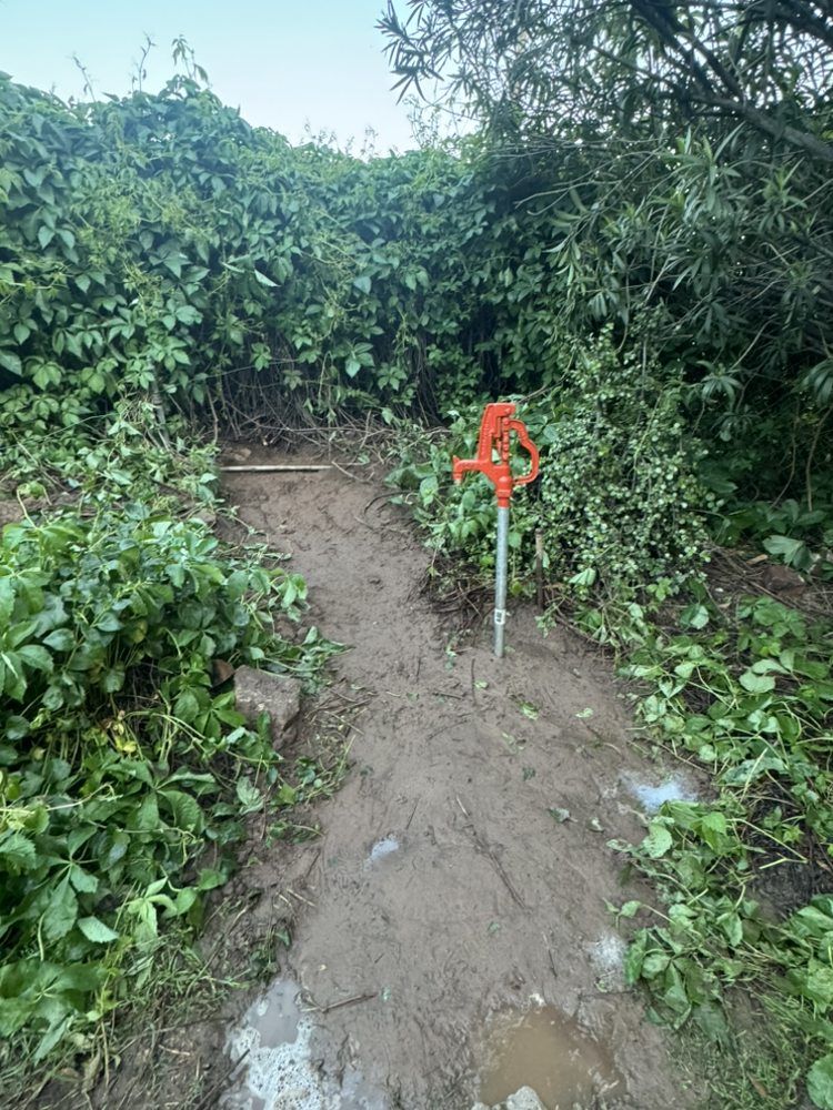 Muddy path through dense green foliage, with an orange water spigot in the center.
