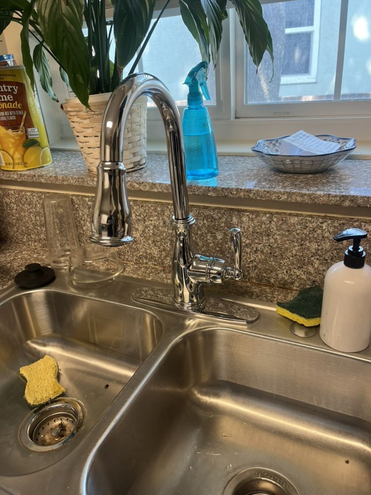 Kitchen sink with chrome faucet, soap dispenser, and sponge. A window with plants is in the background.