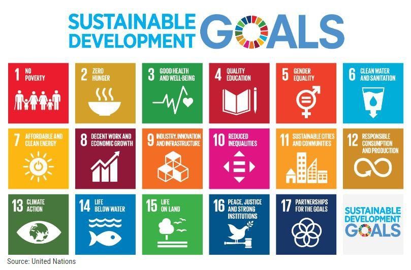 Sustainable Development Goals and Mack Bhatia - theSustainabilityio