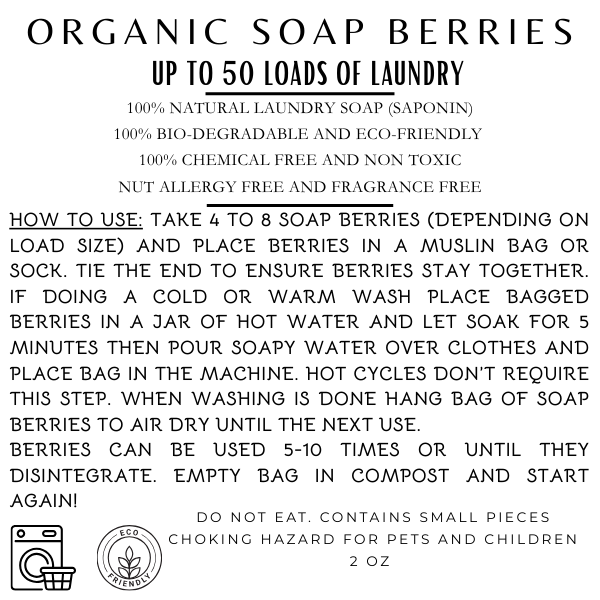 Organic Soap Berries