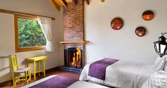 A bedroom with two beds , a fireplace and a window.