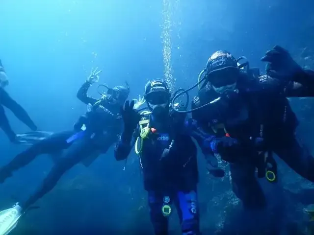a group of scuba divers are swimming in the ocean .