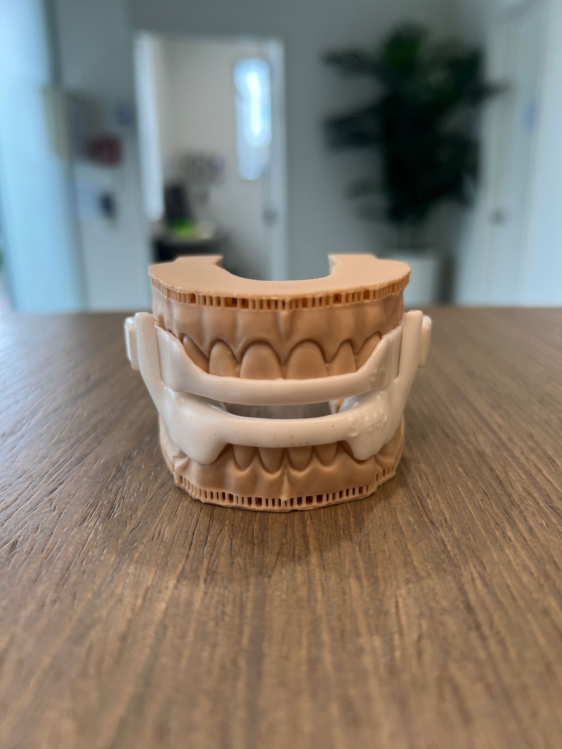 A model of a person 's teeth is sitting on a wooden table.