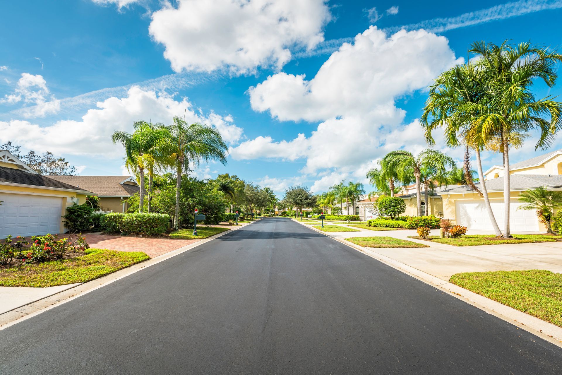 Freshly paved residential asphalt street in a suburban neighborhood lined with palm trees and homes.
