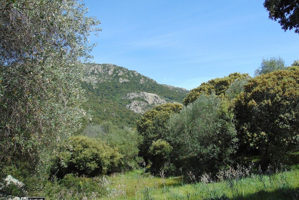 sentiero naturale in Sardegna