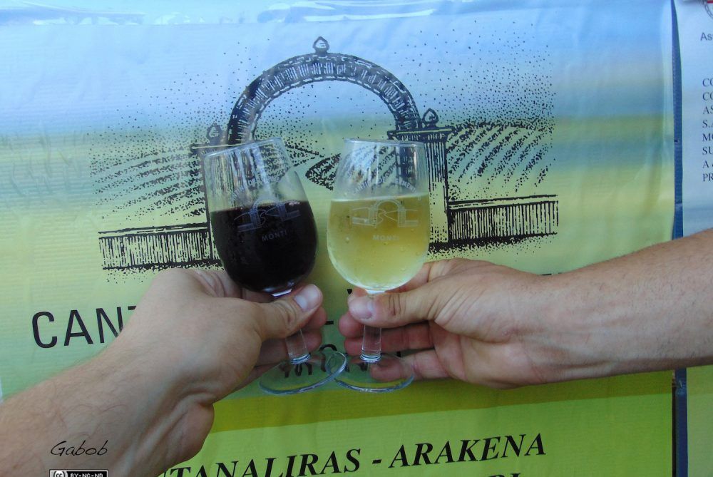 calici di vino bianco e rosso sardo