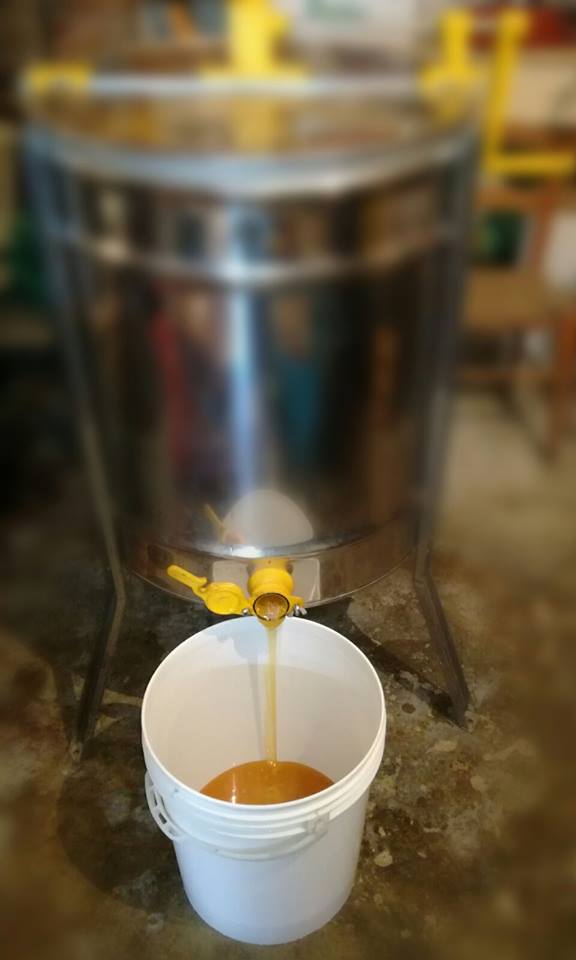 olio evo artigianale