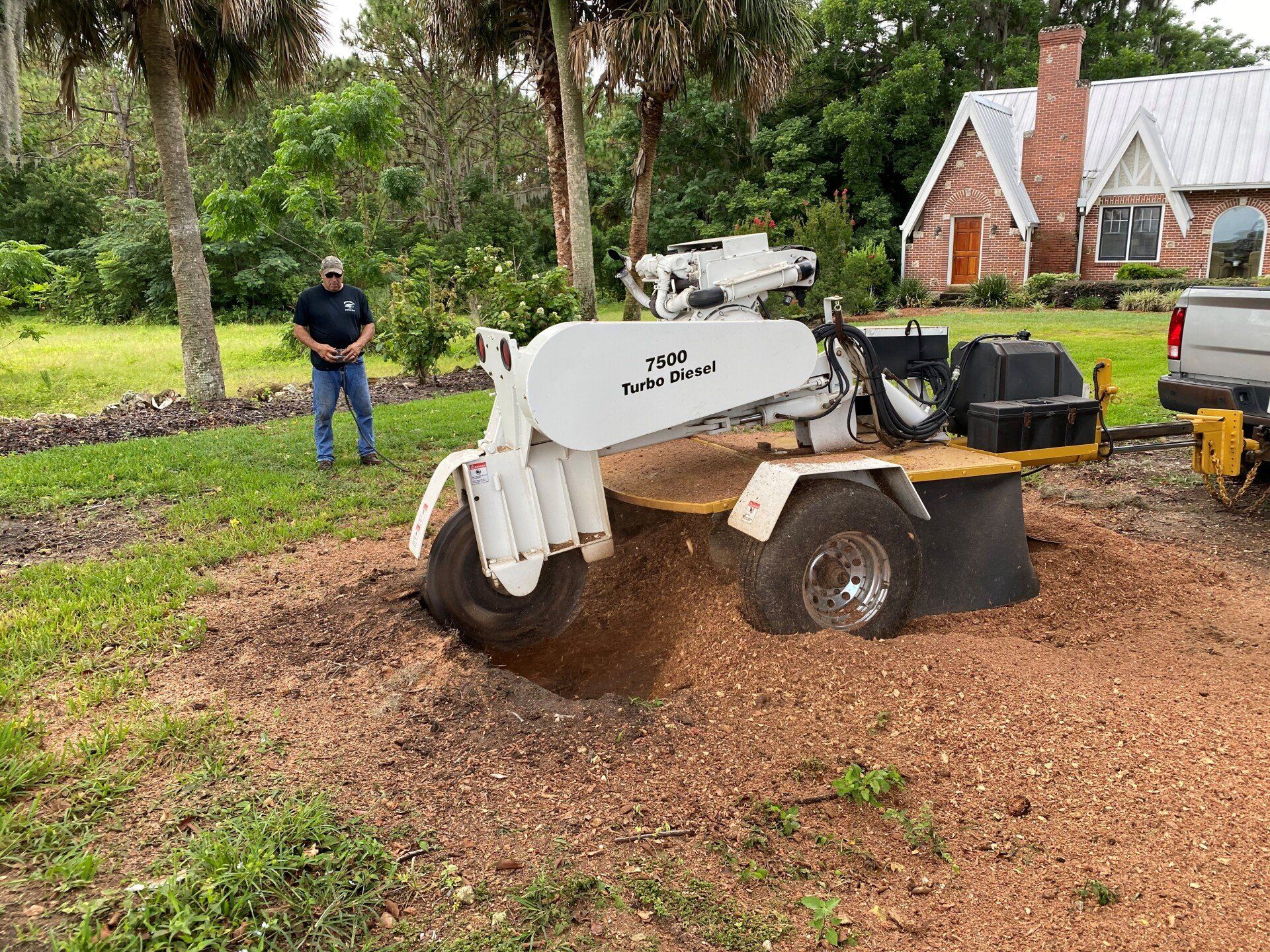 Tree stump about to be grinded — Leesburg, FL — Diversified Tree Service