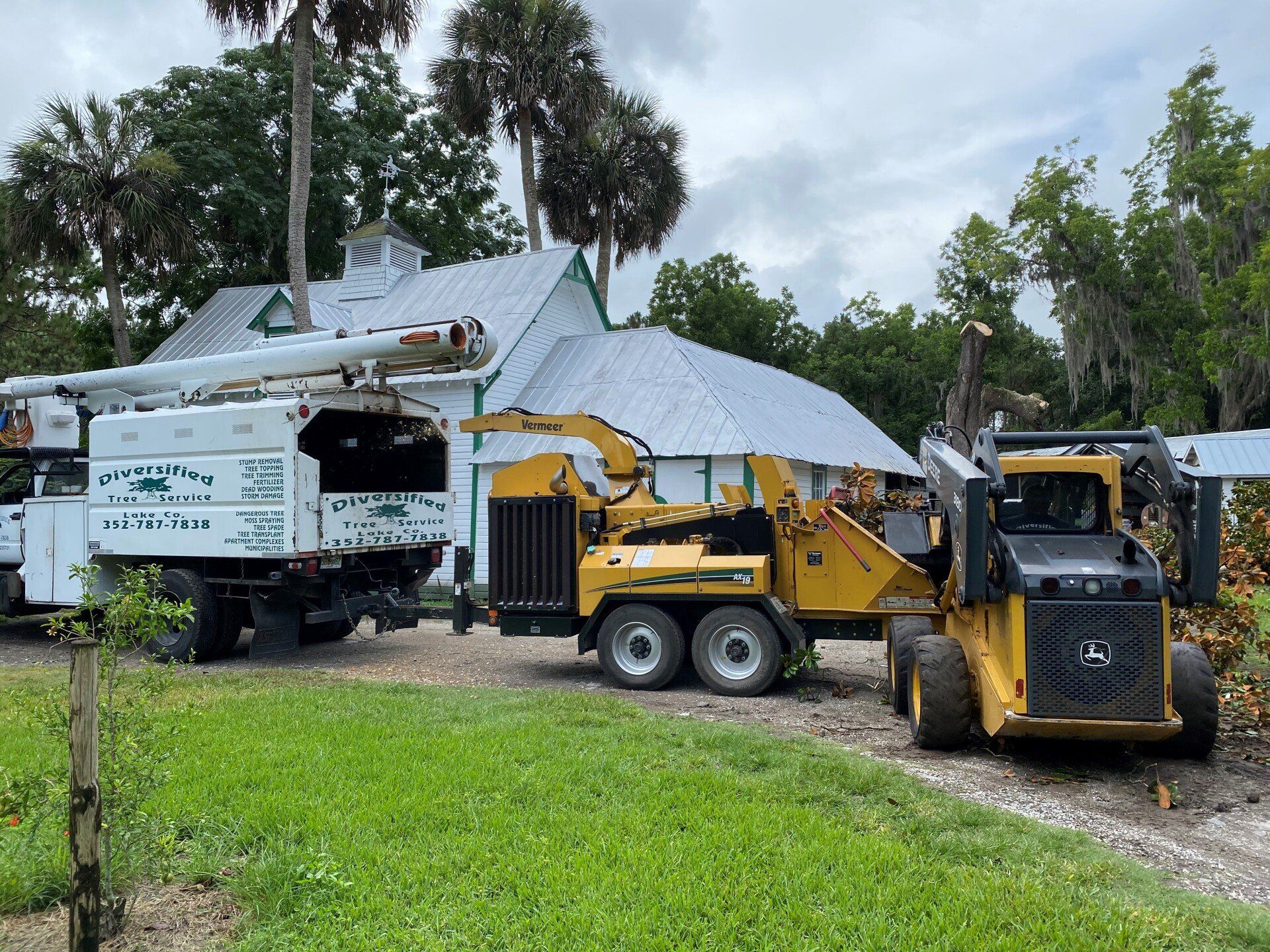 Man cutting tree branch with chainsaw — Leesburg, FL — Diversified Tree Service