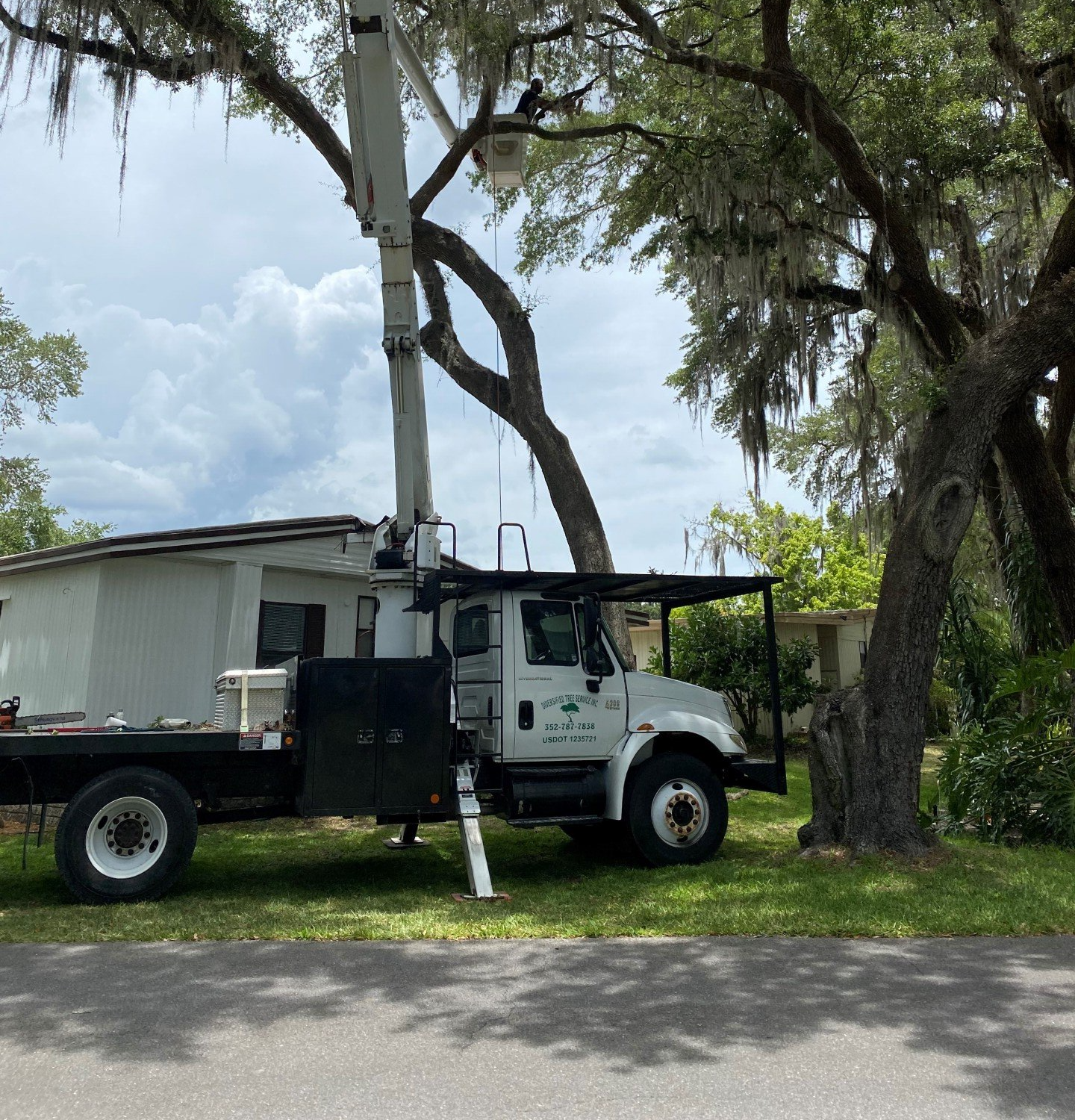 Abundance of logs stacked together — Leesburg, FL — Diversified Tree Service Abundance of logs stacked together — Leesburg, FL — Diversified Tree Service