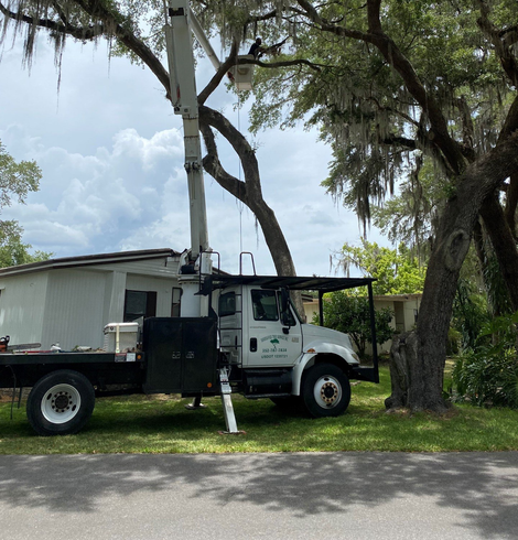 Abundance of logs stacked together — Leesburg, FL — Diversified Tree Service