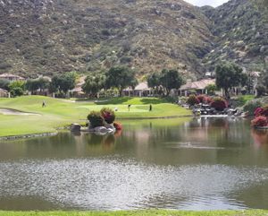 There is a lake in the middle of a golf course.
