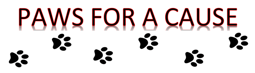 Paws For a Cause