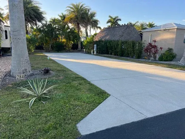Concrete driveway with palm trees and a thatched roof structure in a tropical setting.