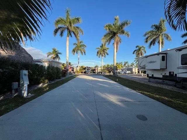 RV park with palm trees, blue sky, and concrete road.