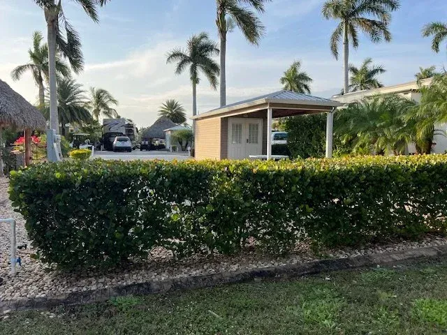 Green hedge in front of a small beige shed, palm trees in the background. Sunny day.
