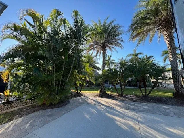 Palm trees casting long shadows on a paved area, under a bright blue sky.