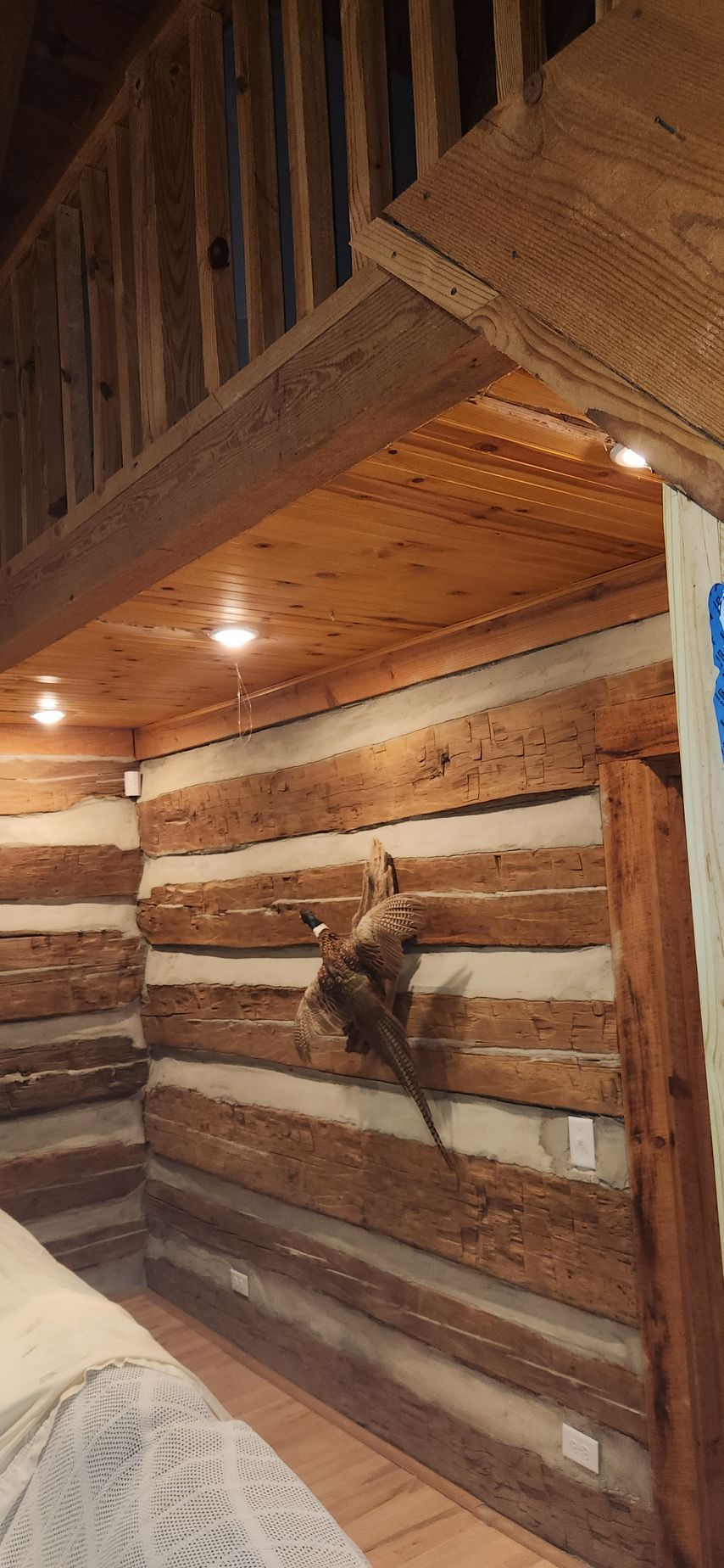 Log cabin interior with a loft, wood beams, and a mounted animal.