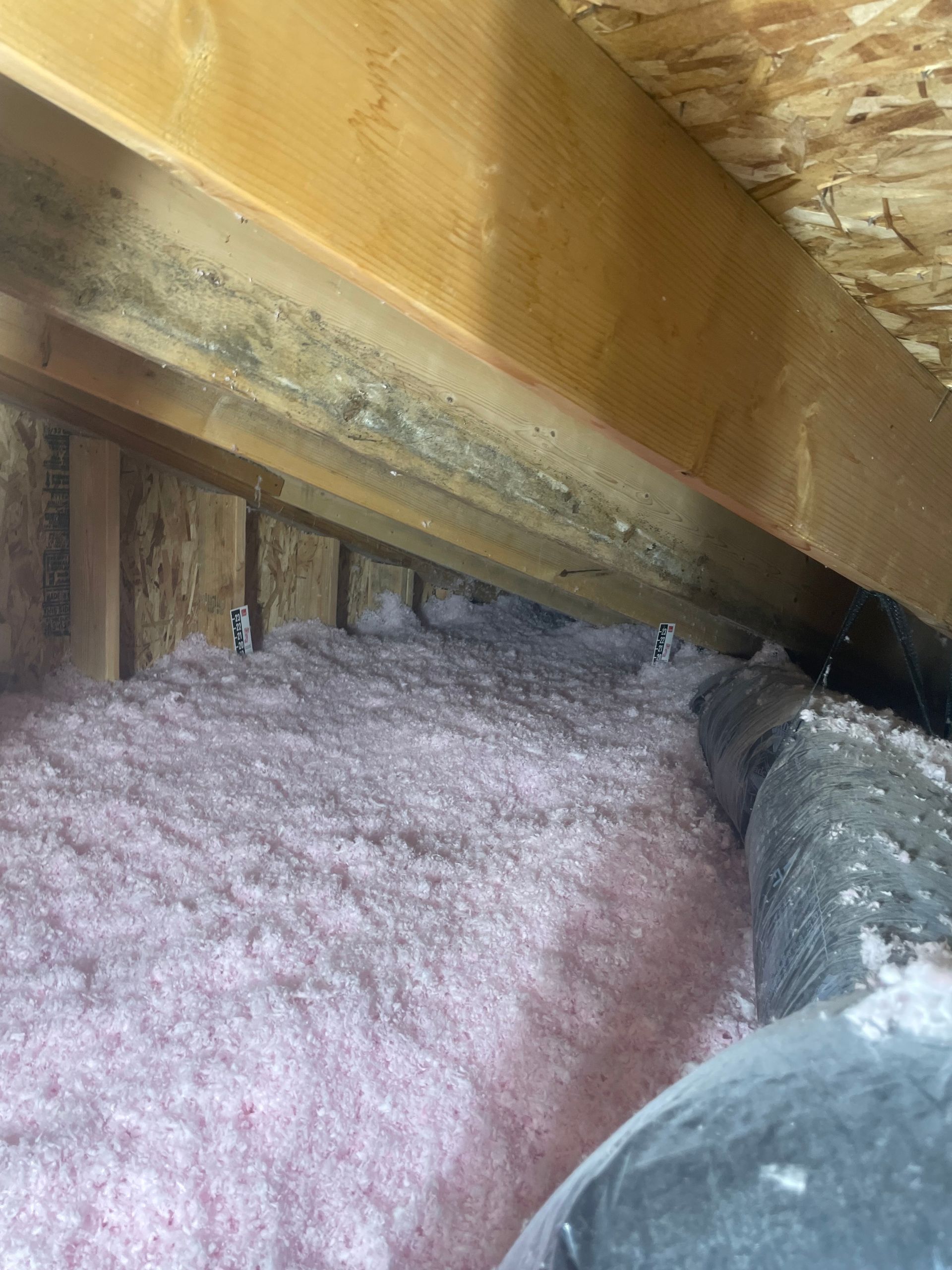 There is a lot of insulation in the attic of a house.