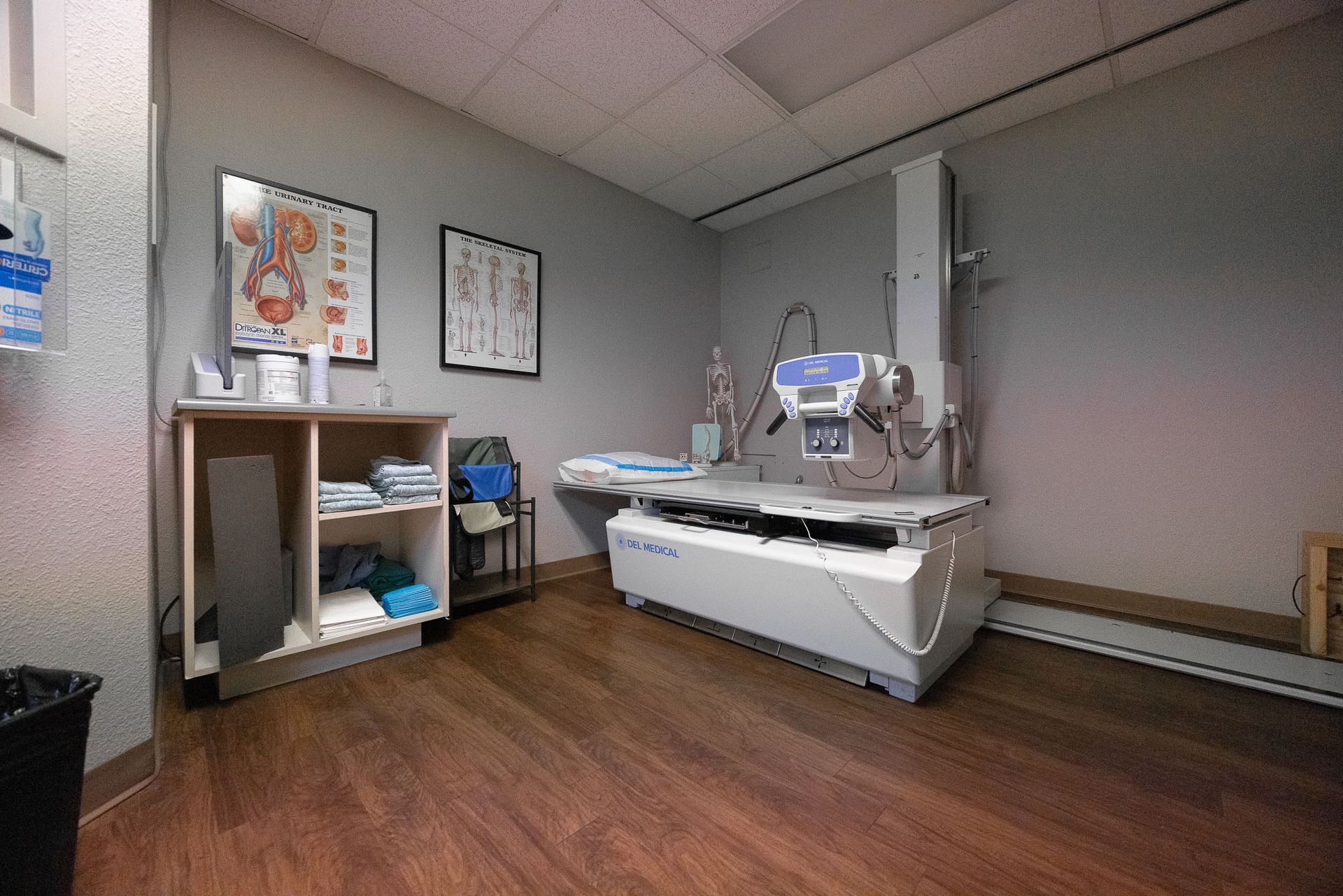 Empty medical exam room with a hospital bed, cabinets, and gray walls on wood flooring