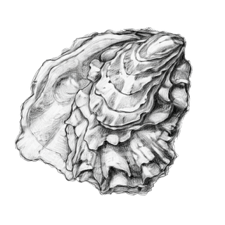 Oester Bovary