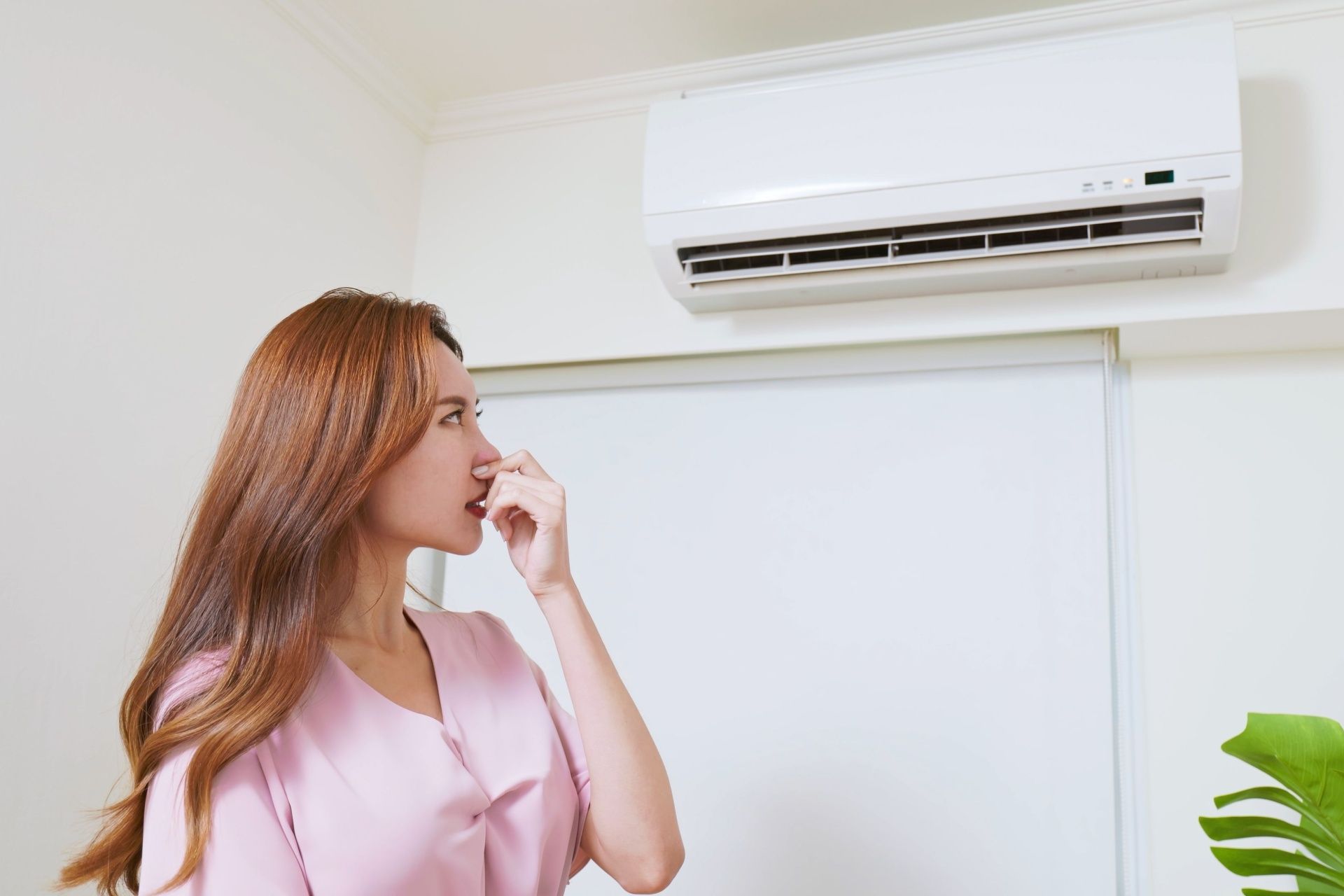 Air Conditioner Smells