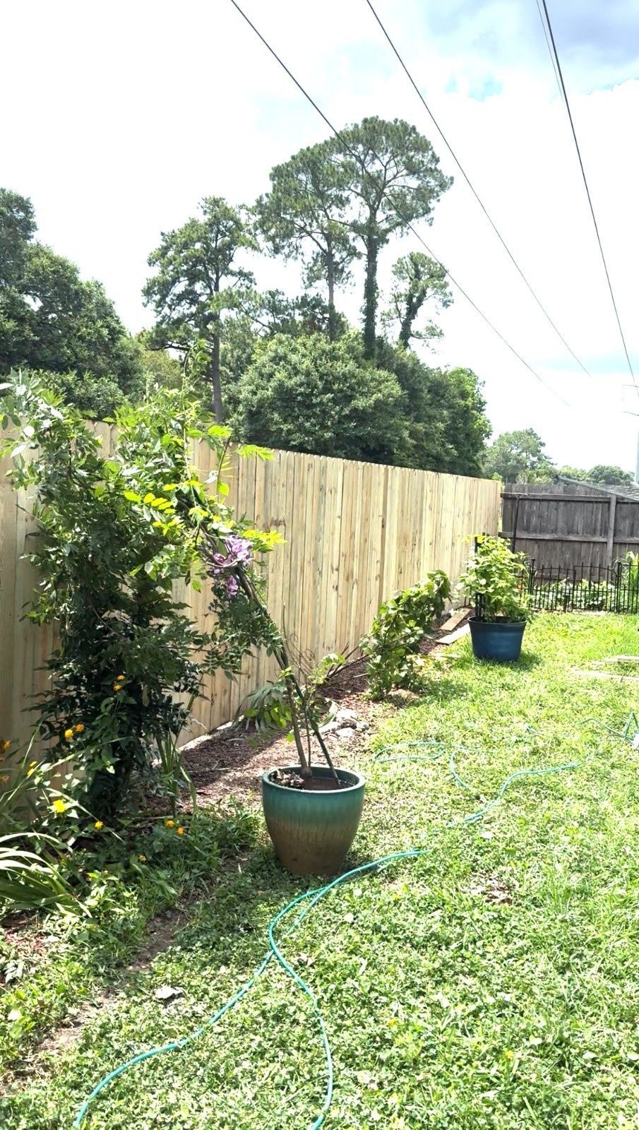 Sunny backyard with a wooden fence, potted plants, and trees under a bright sky
