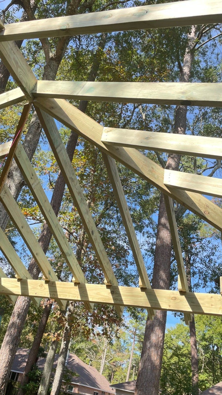 Wooden roof beams under construction, seen from below against blue sky and trees.