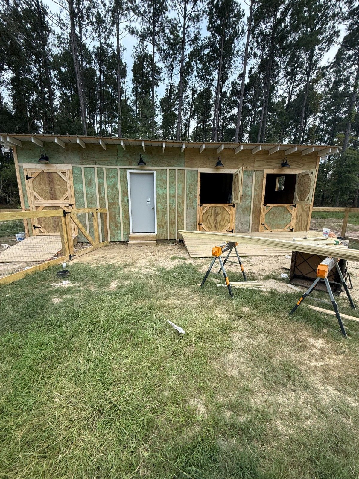 Partially built small house with wooden siding, white door, open windows, and ladders in a grassy yard.