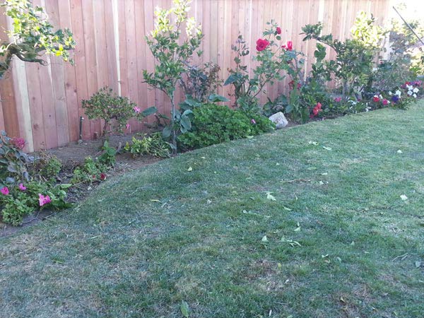 Wooden Fence Near Garden — Installation in Inglewood, CA - King Dave Fence